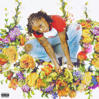 Higher (Interlude) - Kodie Shane