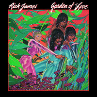 Summer Love - Rick James