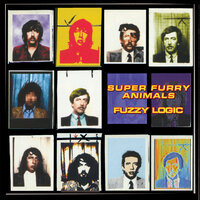 Bad Behaviour - Super Furry Animals