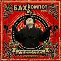 Бухгалтер Иванов - Бахыт Компот