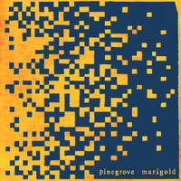 Neighbor - Pinegrove