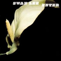 Stay Tonight - Swan Lee