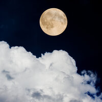 Soothing Showers - Nature Sounds, Massage Therapy Music, Spa & Spa, Nature Sounds, Spa & Spa