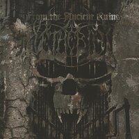 Among The Flames - Setherial