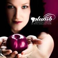 Cut - Plumb