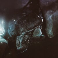 Whispering - Son Lux