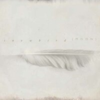 In Lovely - Snowbird