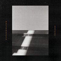 Early Grey - AlphaWolves