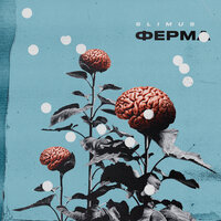 Звонок - SLIMUS