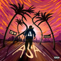 Asa - CLR