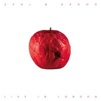 We Never Fall - Zeal & Ardor