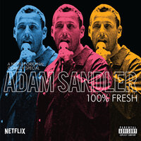 Uber Driver - Adam Sandler