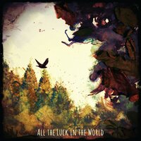 Settle - All The Luck In The World