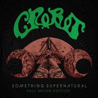 Wizards - Crobot