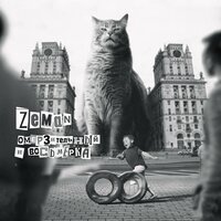Заколка - Zeman