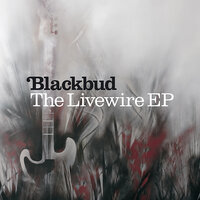 158 - Blackbud