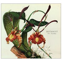 Gleditsia - Botanist