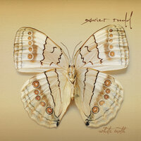 Choices - Xavier Rudd