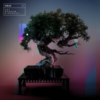 Last One Out (Turn the Lights Off) - HÆLOS