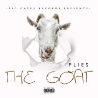 Neimans - Plies