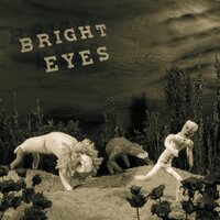 From a Balance Beam - Bright Eyes