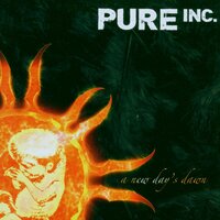 Skinflint - Pure Inc.