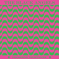 Ronettes - The Black Angels