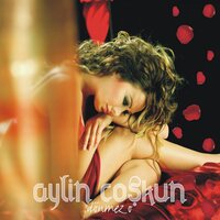 Git - Aylin Coşkun