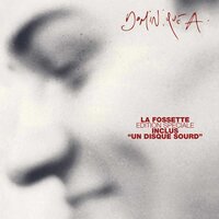 L'echo - Dominique A