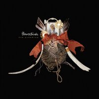This Year - Bowerbirds