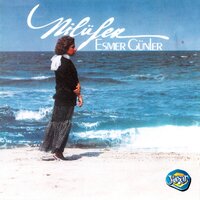 Mor Menekşe - Nilüfer