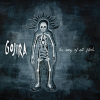 Esoteric Surgery - Gojira