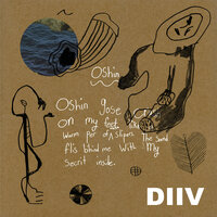 How Long Have You Known - DIIV