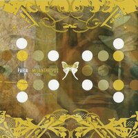 ...Human Error - Paria