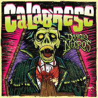 Red Slash - Calabrese