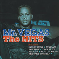 Heads High - Mr. Vegas