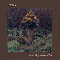 Something Very Clouded - Moi Caprice