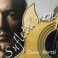 Daca tu - Ducu Bertzi