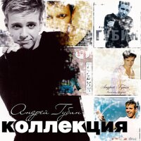 Ты дождись меня - Андрей Губин