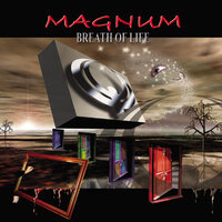Everyday - Magnum
