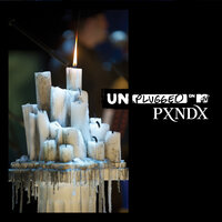 Amnistía - Pxndx, Panda