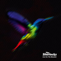 キャンドルライト - The Sherlocks