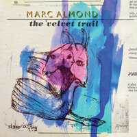 Winter Sun - Marc Almond