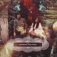 Games - Burning Peacocks