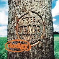 Prey For Drinking - Dodgy