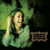 Modulation - Ani DiFranco