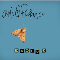 Icarus - Ani DiFranco