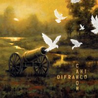Dilate - Ani DiFranco