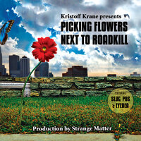 Brighter Side - Kristoff Krane