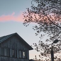 Иллюзия / Рисую - cold carti